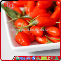 Baies de goji séchées biologiques gojis baies goji baies beneficios